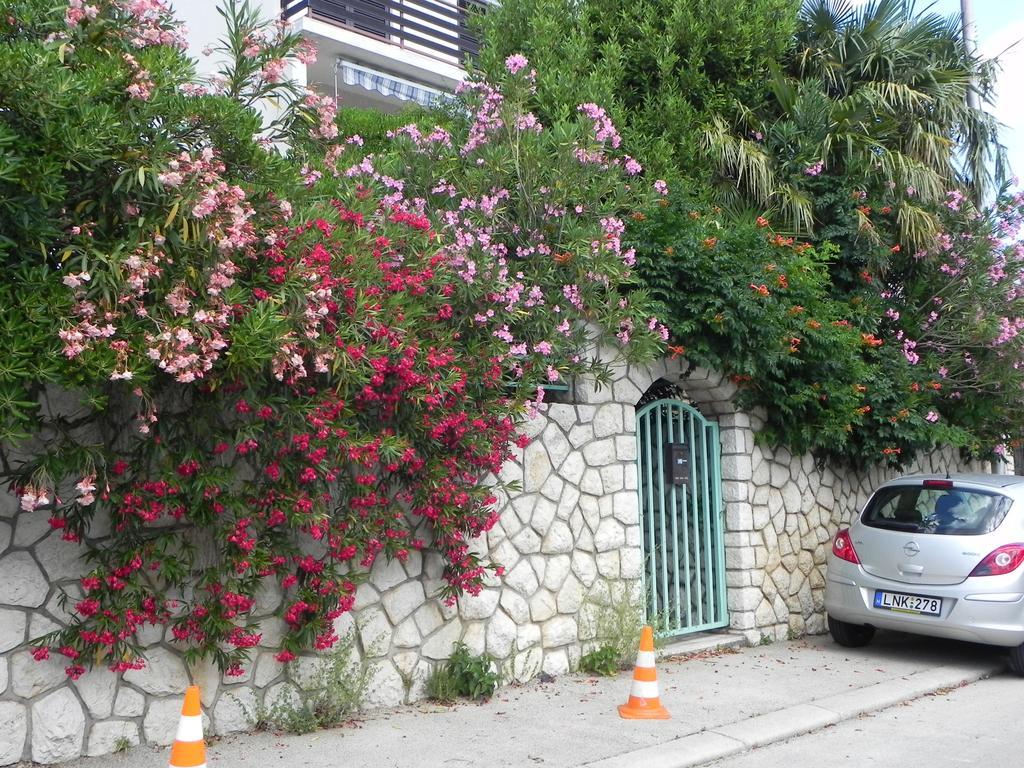 Apartments Katalenic Selce Buitenkant foto