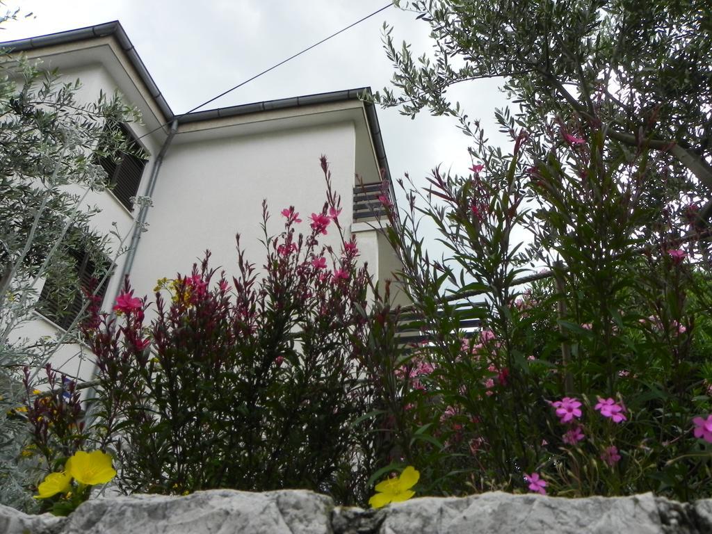 Apartments Katalenic Selce Buitenkant foto